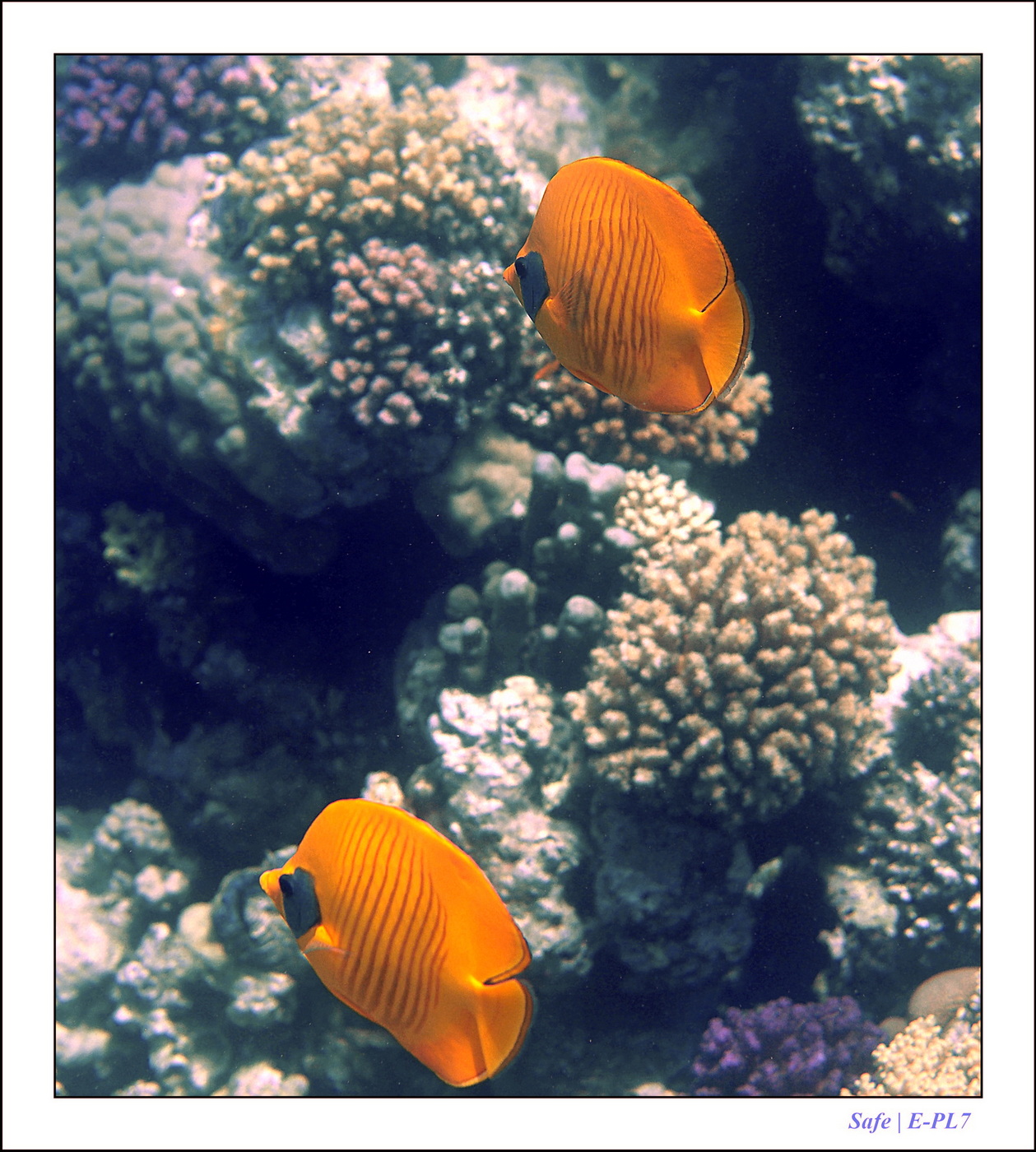 Hurghada - Juillet 2021 - 053